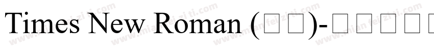 Times New Roman (正文)字体转换